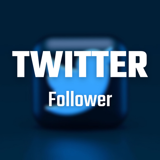 Twitter (X) Follower